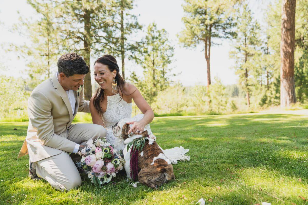 bridal couple with english bulldog